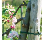 Lien d'attache, souple, 5 mm x 100 m, vert