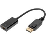 Adaptateur DisplayPort / convertisseur, 0,2 m