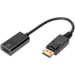 Adaptateur DisplayPort / convertisseur, 0,2 m