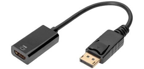 Adaptateur DisplayPort / convertisseur, 0,2 m