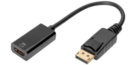 Adaptateur DisplayPort / convertisseur, 0,2 m