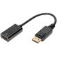 Adaptateur DisplayPort / convertisseur, 0,2 m