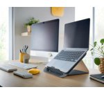 Support pour ordinateur portable Ergo Cosy, gris