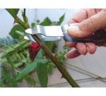 Désépinoir, longueur: 145 mm