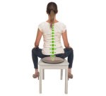 Coussin de soutien dorsal Seat Cushion Fit+, rond