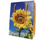 Sac cadeau 'Sunflower Smile'
