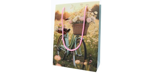 Sac cadeau 'Bicycle'