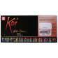 Peinture aquarelle Koi Water Colors Studio, set 96