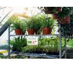 Pochette d'affichage, étanche, A5, avec serre-câbles