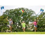 Cerf-volant de poche Pocket Kite M