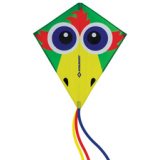 Cerf-volant acrobatique Classic Kite70 Crazy Bird