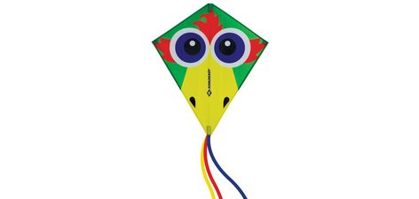 Cerf-volant acrobatique Classic Kite70 Crazy Bird