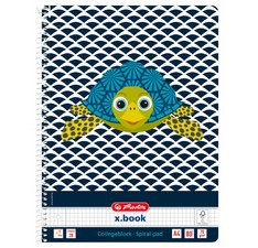 Spiraalschrift 'Cute Animals Zebra', A4, geruit