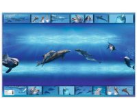 Sous-main 'Dauphins', (L)550 x (H)350 mm