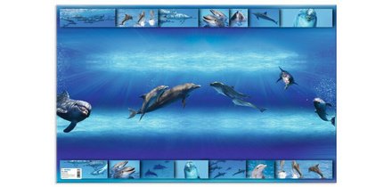 Sous-main 'Dauphins', (L)550 x (H)350 mm