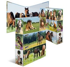 Classeur à levier 'Monde animal', Cheval dans le pré