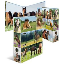 Classeur à levier 'Monde animal', Cheval dans le pré