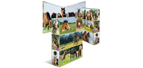 Classeur à levier 'Monde animal', Cheval dans le pré