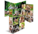 Classeur à levier 'Monde animal', Rongeurs