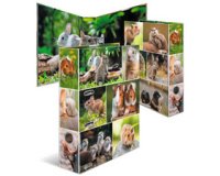 Classeur à levier 'Monde animal', Rongeurs