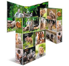 Classeur à levier 'Monde animal', Rongeurs