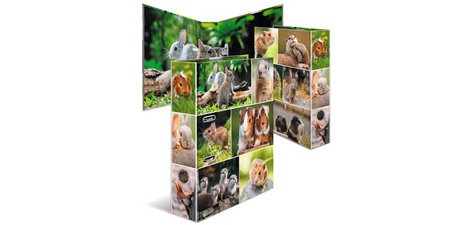 Classeur à levier 'Monde animal', Rongeurs