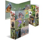 Classeur à levier 'Monde animal', Oiseaux