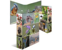 Classeur à levier 'Monde animal', Oiseaux