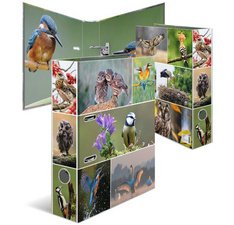 Classeur à levier 'Monde animal', Oiseaux