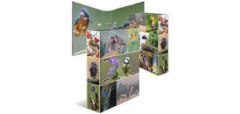 Classeur à levier 'Monde animal', Oiseaux