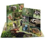 Chemise à élastiques 'Animaux de la forêt', carton, A4