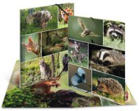 Chemise à élastiques 'Animaux de la forêt', carton, A4