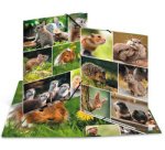 Chemise à élastiques 'Rongeurs', carton, A4