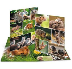 Map met elastieken 'Knaagdieren' karton A4