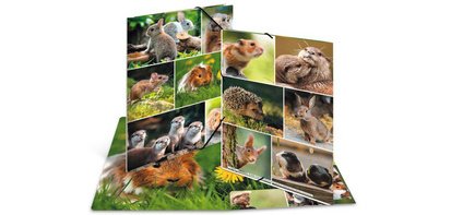 Chemise à élastiques 'Rongeurs', carton, A4