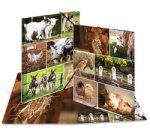 Chemise à élastiques 'Animaux de ferme', carton, A4