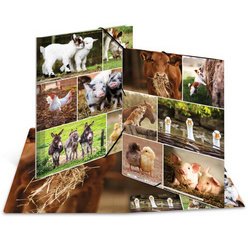 Map met elastieken 'Paarden in de weide' karton A4