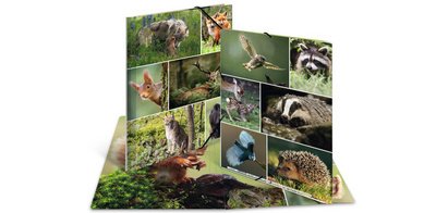 Chemise à élastiques 'Animaux de la forêt', carton, A3