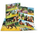 Chemise à élastiques 'Chevaux dans le pré', carton, A3