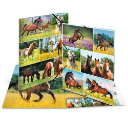 Chemise à élastiques 'Chevaux dans le pré', carton, A3