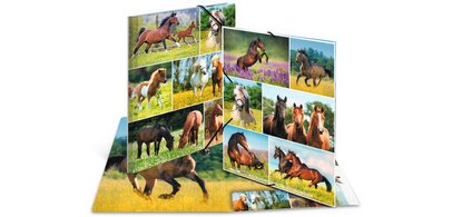 Map met elastieken 'Paarden in de weide' karton A3