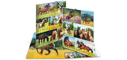 Chemise à élastiques 'Chevaux dans le pré', carton, A3