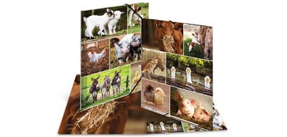 Chemise à élastiques 'Animaux de ferme', carton, A3