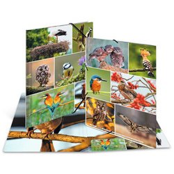 Map met elastieken 'Vogels' karton A3