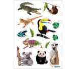 Sticker MAGIC Suricates, papier