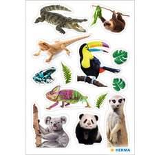 Sticker MAGIC Suricates, papier