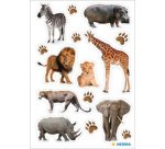Sticker MAGIC Suricates, papier
