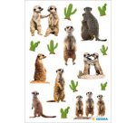 Sticker MAGIC Suricates, papier