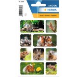 Autocollants DECOR 'Rongeurs'