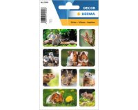 Autocollants DECOR 'Rongeurs'